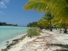Nom du fichier=Bora_Bora_09-2005_45.jpg
Taille du fichier=280Ko
Dimensions : 637x480
Ajouté le : 01 Février 2009 Bora_Bora_09-2005_45.jpg
