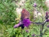 Megeve_07-2005_7.jpg