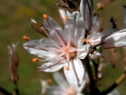 Hyeres_04-2005-15.jpg