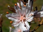 Hyeres_04-2005-16.jpg