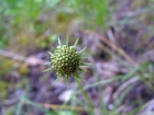 Megeve_07-05_33.jpg