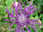 Megeve_07-05_56.jpg