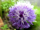 Malaisie_10-04[124.jpg