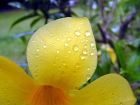 Malaisie_10-04[129.jpg
