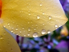 Malaisie_10-04[130.jpg