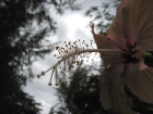 Malaisie_10-04[132.jpg