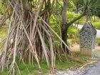 Malaisie_10-04[26.jpg