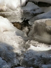 Le_Corbier_02-2005_14.jpg